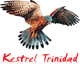 Kestrel Trinidad logo